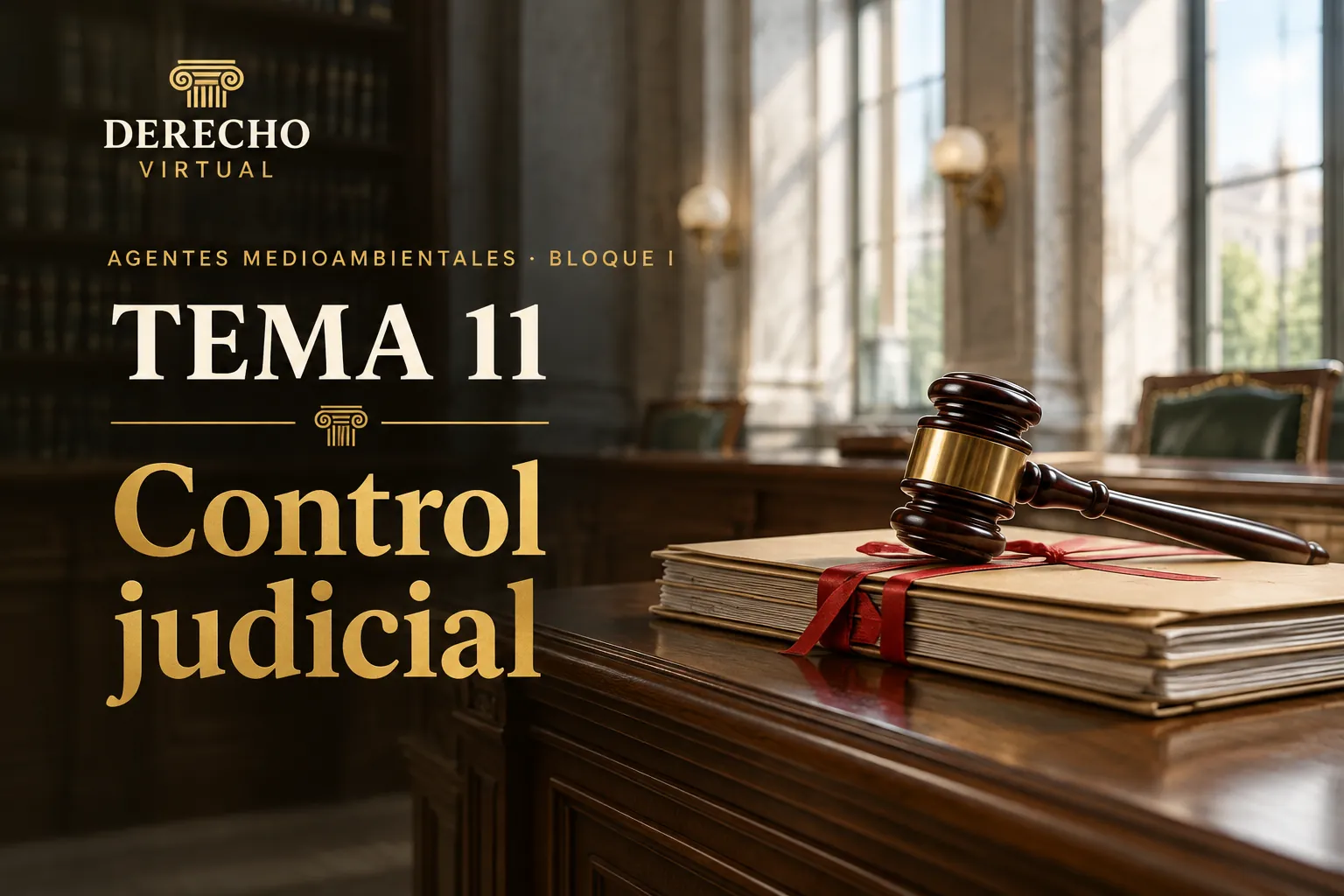 Miniatura del tema 11: El Poder Judicial y el control jurisdiccional de la Administración