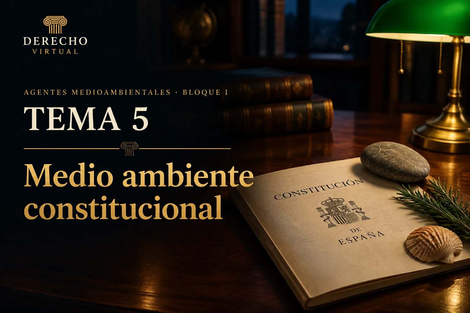 Miniatura del tema 5: El medio ambiente en la Constitución: competencias, aguas y costas (arts. 45 y 132)