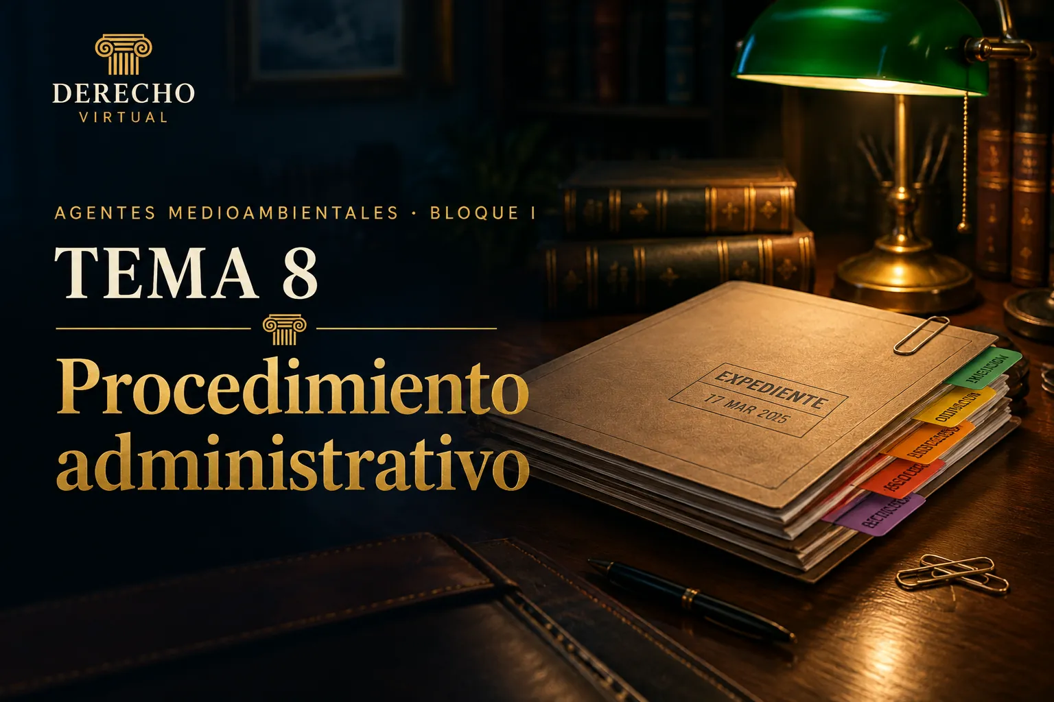 Miniatura del tema 8: El procedimiento administrativo y la revisión de actos en vía administrativa