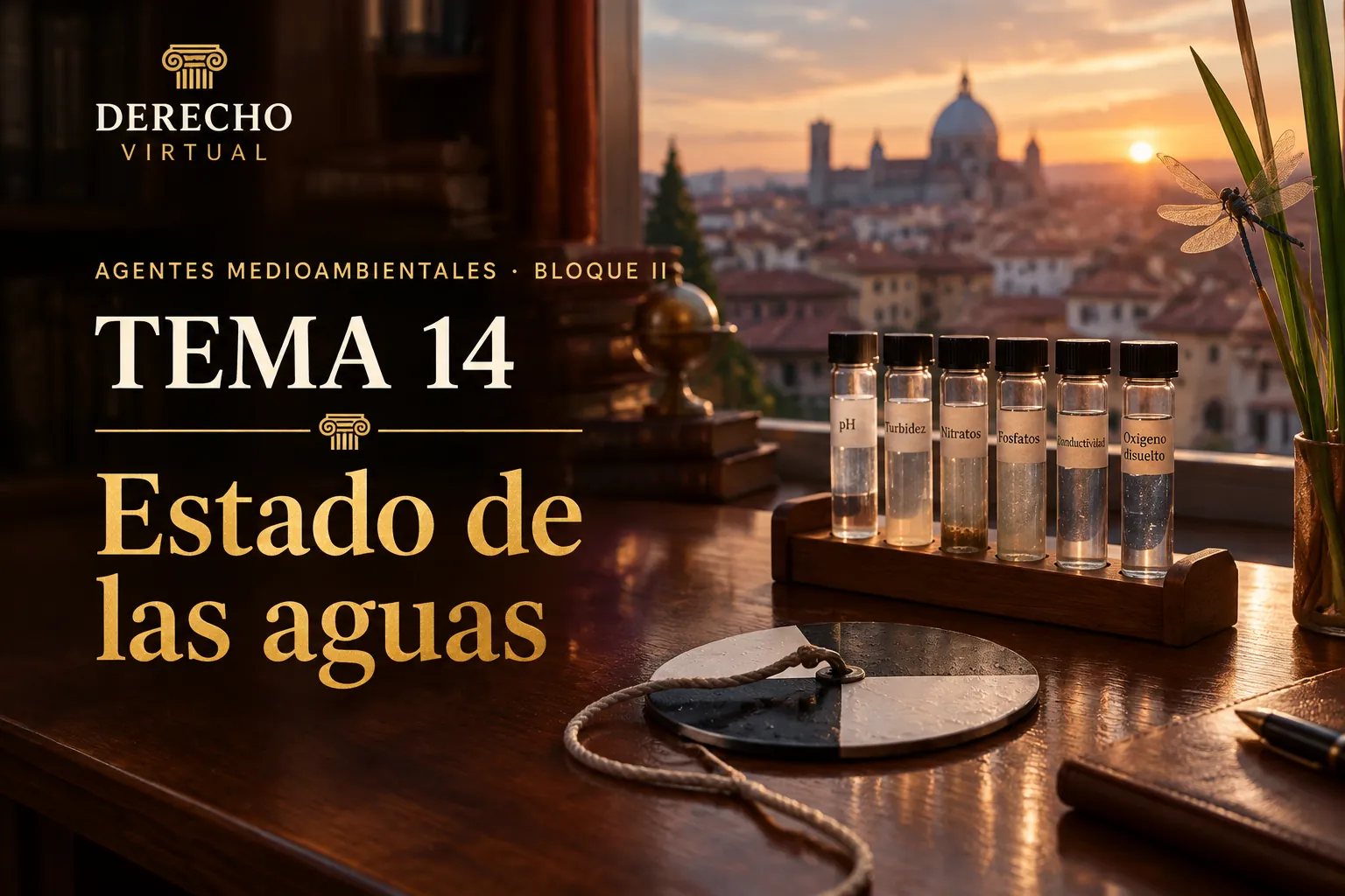 Miniatura del tema 14: La Directiva Marco del Agua: estado de las aguas y restauración fluvial