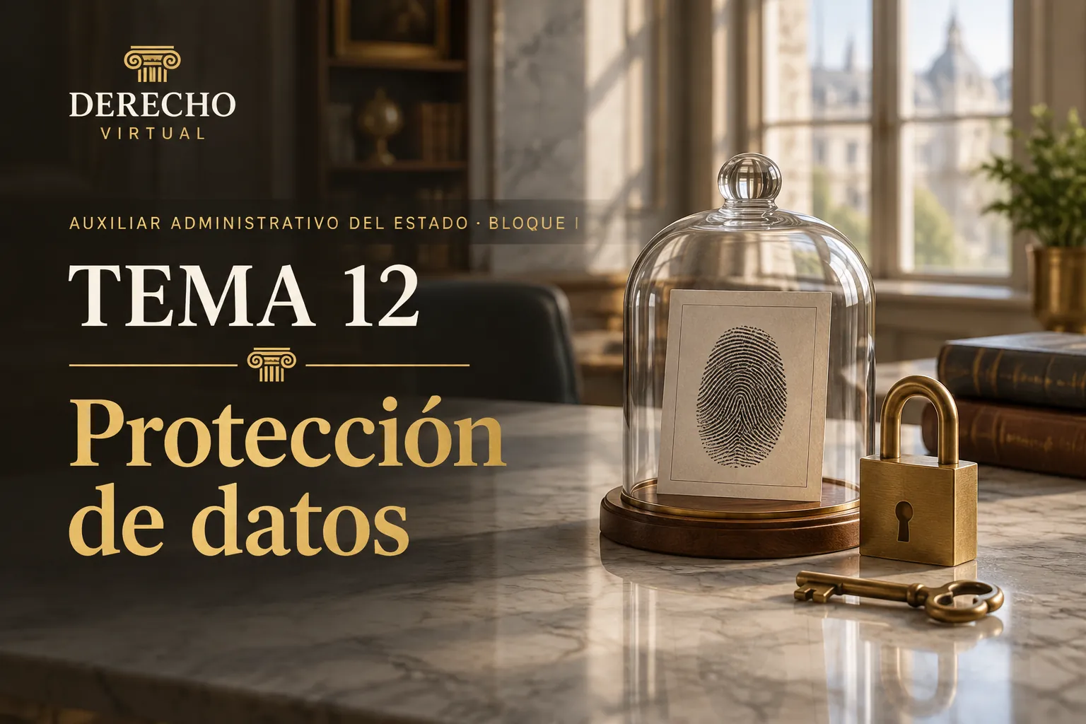 Miniatura del tema 12: La protección de datos personales