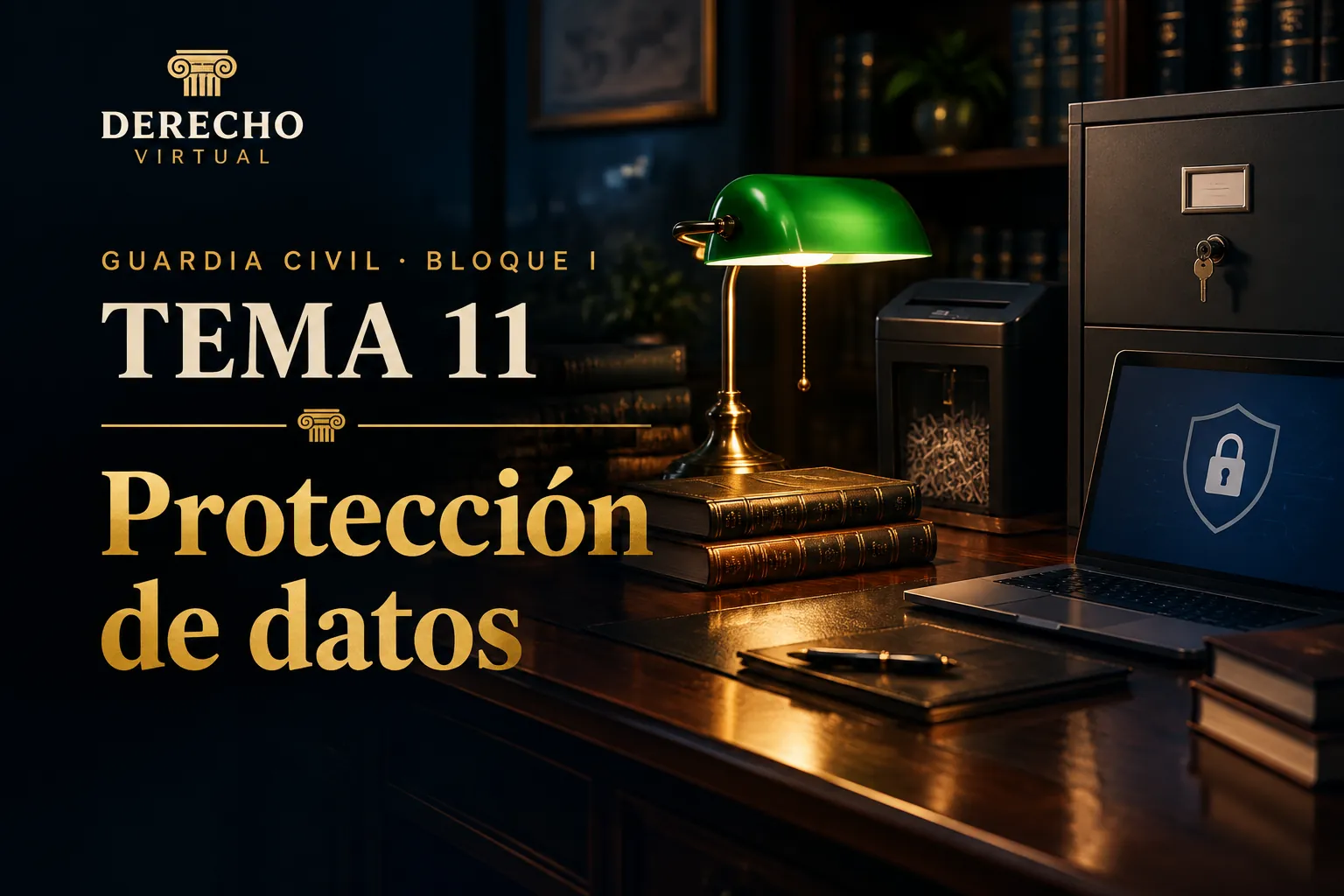 Miniatura del tema 11: Protección de datos