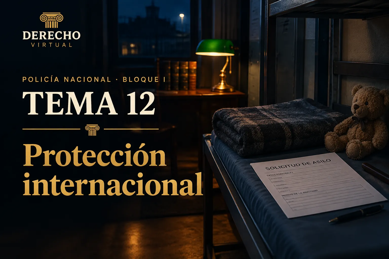 Miniatura del tema 12: La protección internacional
